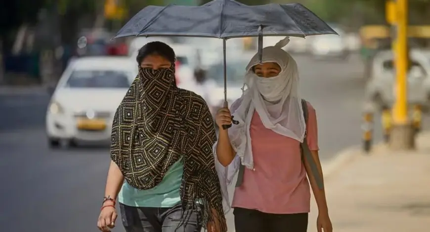 Weather Heat Update: झारखंड में गर्मी की एंट्री, होली तक चढ़ेगा पारा, चाईबासा में रिकॉर्ड तापमान और अब बदलने वाला है मिजाज