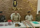 Latehar Raid:  लातेहार के मिरचैया जंगल में जमीन फाड़कर निकले घातक हथियार, इंसास राइफल और भारी गोला-बारूद बरामद