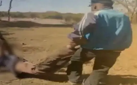 Ratu Elephant Attack: रांची के रातू में जंगली हाथी का तांडव, मजदूर सुबोध खलखो को कुचला, पाली गांव में मौत का तांडव जारी