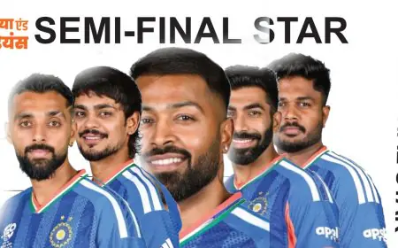 India Cricket Hero :भारत सेमीफाइनल, इन 5 शेरों ने पक्का किया वर्ल्ड कप का टिकट