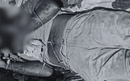 Garhwa Murder: बकरियों के विवाद में 11 लोगों ने लाठी-टांगी से किया हमला, बुजुर्ग की मौके पर मौत, बेटों को अधमरा कर छोड़ा