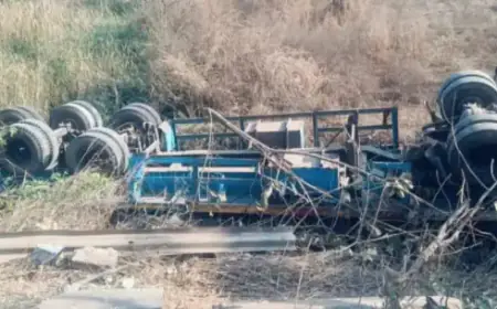 Kapali Accident: डोबो पुल पर मौत का तांडव: बेकाबू होकर पलटा तेज रफ्तार ट्रेलर, मलबे के नीचे दबा चालक