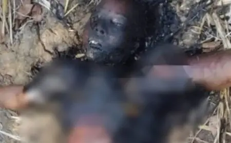 Potka Murder:  पोटका में युवती को जिंदा जलाया, पहचान मिटाने की खौफनाक साजिश, ओडिशा सीमा पर शराब की बोतलें बरामद