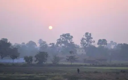 Jharkhand Weather : झारखंड में फिर बिगड़ेगा मौसम, 7 से 10 मार्च तक बारिश और गर्जन का अलर्ट, जानें आपके जिले का हाल
