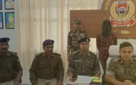 Palamu Raid:  हुसैनाबाद में काउंटर के नीचे मिला लोडेड कट्टा, पुलिस ने घेराबंदी कर दबोचा, अवैध शराब के साथ हथियार का भी धंधा