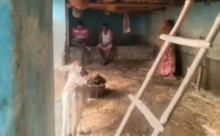 Bodam Theft: खस्सी कांड: बोड़ाम में बाउंड्री का ताला तोड़ ₹1 लाख के पांच खस्सी चोरी, चार पहिया वाहन से आए थे शातिर चोर