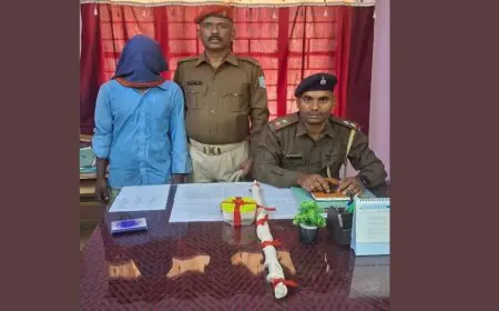 Chakulia Attack : चाकुलिया में स्कूल से लौट रही महिला और बच्ची पर रॉड से हमला, घात लगाकर बैठा था हमलावर