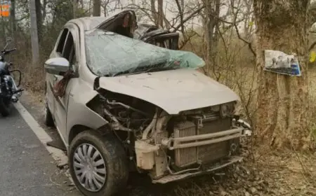 Jadugoda Crash: भीषण हादसा, भटिन माइंस गेट पर पेड़ से टकराई बेकाबू कार, चकनाचूर हुई गाड़ी, लहूलुहान हुए यूसिल के 4 युवक