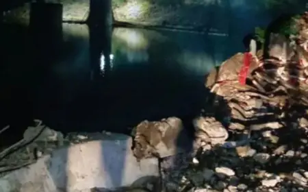 Hazaribagh  Accident: डैम में समाया ट्रक, बरही में रूह कंपा देने वाला हादसा, रेलिंग तोड़कर तिलैया डैम के गहरे पानी में गिरा मछली लदा वाहन