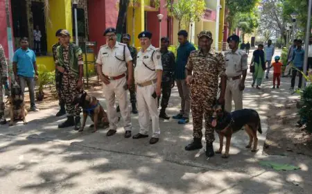 Latehar Threat : लातेहार कोर्ट को उड़ाने की खौफनाक धमकी, ईमेल से मची अफरा-तफरी, सुरक्षा घेरे में पूरा परिसर