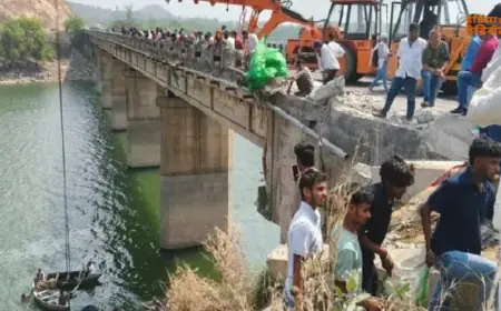 Hazaribagh  Rescue: खौफनाक मंजर, बरही में रेलिंग तोड़ डैम में समाया मछली लदा ट्रक, पाइप के सहारे लटककर बची खलासी की जान