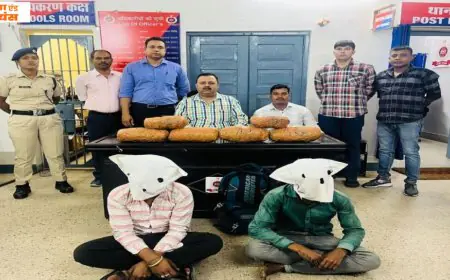 Ranchi Bust : हटिया स्टेशन पर 'ऑपरेशन नारकोस' का बड़ा धमाका, मौर्य एक्सप्रेस से 2.5 लाख के नशे के साथ दो गिरफ्तार