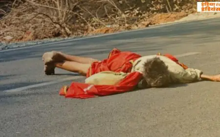 Potka Hit-and-Run: पोटका में बेलगाम वाहन ने 78 वर्षीय रसराज को रौंदा, मौके पर ही दर्दनाक मौत, हत्यारा वाहन हुआ फरार