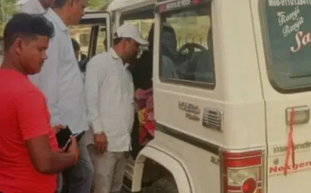 Giridih Elephant:  गिरिडीह में झुंड से भटके गजराज ने बुजुर्ग को पटका, हजारीबाग में इलाज के दौरान मौत, इलाके में भारी दहशत