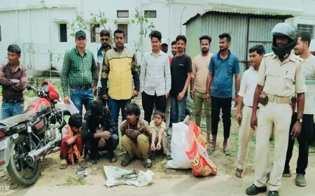 Chaibasa Raid : चाईबासा में 'डेंड्राइट गैंग' का आतंक खत्म, पुलिया के नीचे छिपाया था चोरी का माल, सामाजिक कार्यकर्ता ने धर दबोचा