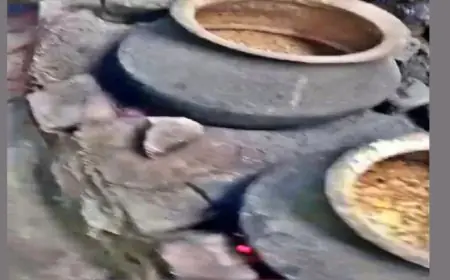 Deoghar Raid: देवघर में रामनवमी से पहले उत्पाद विभाग का बड़ा एक्शन, 200 लीटर महुआ जावा बहाया