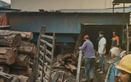 Burmamines Blaze: बर्मामाइंस के लकड़ी गोदाम में तड़के भीषण अग्निकांड, इम्तियाज़ खान के मिल में मची भगदड़, टाटा स्टील की फायर ब्रिगेड ने पाया काबू