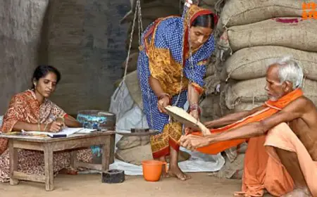 Ration Cancelled : झारखंड में 4.24 लाख राशन कार्ड अचानक रद्द, पूर्वी सिंहभूम में सबसे बड़ा एक्शन, 'साइलेंट' कार्डों पर गिरी गाज