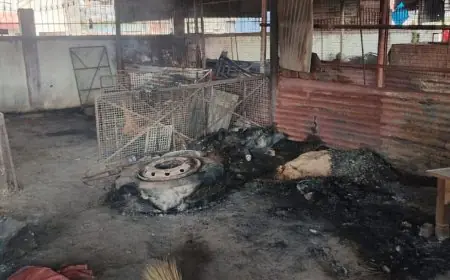 Gumla Fire :  गुमला के बाजारटांड़ में आधी रात को भीषण आग का तांडव, जिंदा जल गईं 150 मुर्गियां, कबाड़ी की दुकान जलकर हुई राख