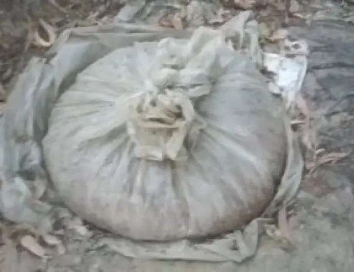 Jamshedpur Raid:  जमशेदपुर के बोड़ाम में महुआ शराब का काला साम्राज्य खत्म, सीएम सचिवालय की सख्ती के बाद बड़ा एक्शन