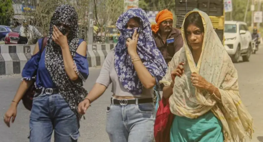 Jharkhand Heat: झारखंड में सूर्यदेव का तांडव: मार्च के पहले हफ्ते में ही पारा 35 पार, होली पर गर्मी तोड़ेगी रिकॉर्ड, पलामू-जमशेदपुर में लू जैसे हालात