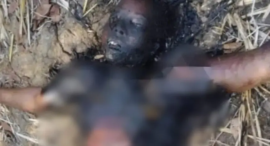 Potka Murder:  पोटका में युवती को जिंदा जलाया, पहचान मिटाने की खौफनाक साजिश, ओडिशा सीमा पर शराब की बोतलें बरामद