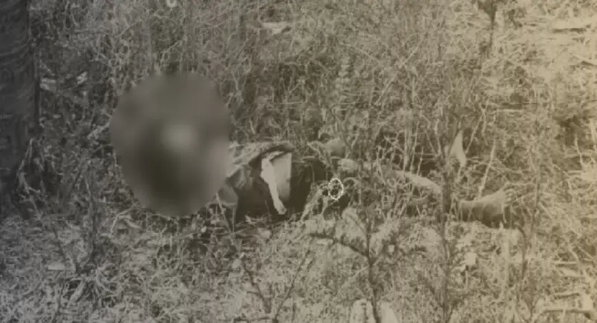 Pakur Death : प्यादापुर के खेत में मिला डिलीवरी बॉय का शव, ताड़ के पेड़ के नीचे बिछी थी लाश