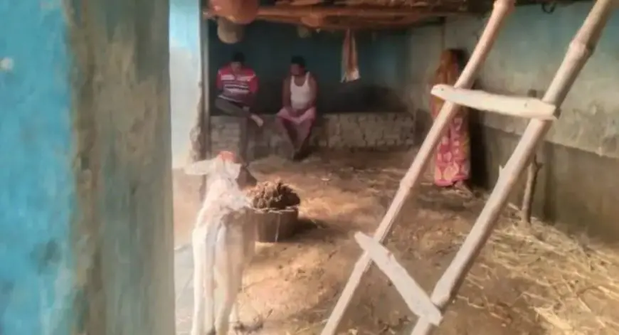 Bodam Theft: खस्सी कांड: बोड़ाम में बाउंड्री का ताला तोड़ ₹1 लाख के पांच खस्सी चोरी, चार पहिया वाहन से आए थे शातिर चोर