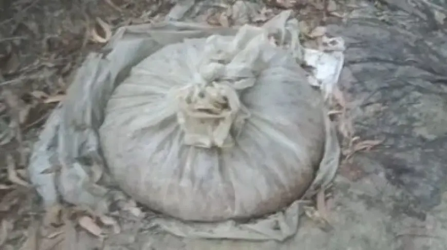 Jamshedpur Raid:  जमशेदपुर के बोड़ाम में महुआ शराब का काला साम्राज्य खत्म, सीएम सचिवालय की सख्ती के बाद बड़ा एक्शन