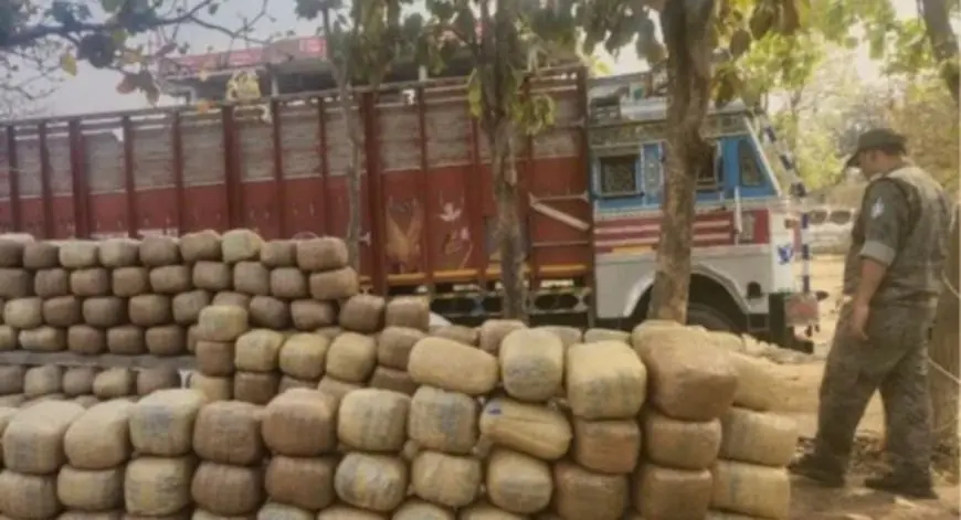 Latehar Raid : लातेहार में 2 करोड़ का गांजा बरामद, भूसे की आड़ में छिपा रखी थी 190 पैकेट की खेप, तस्करों का मास्टरप्लान फेल