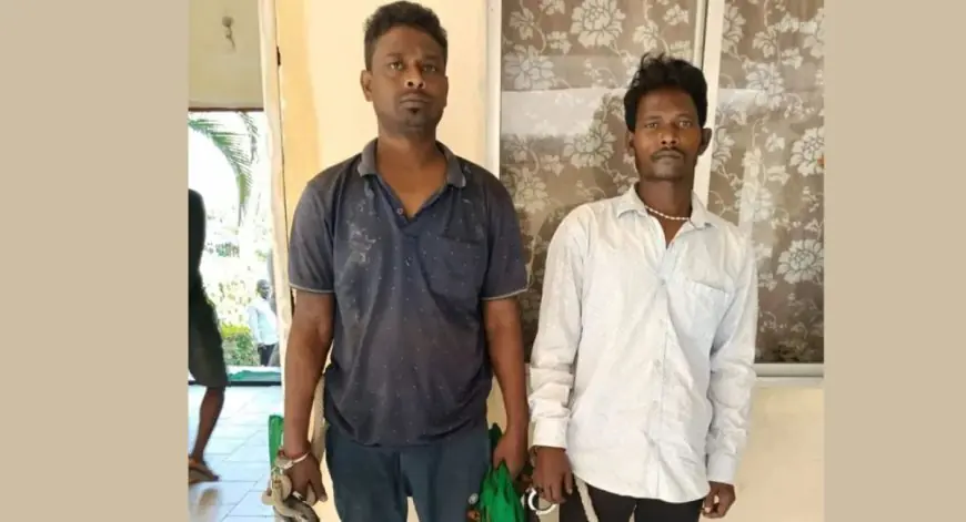 Patamda Raid:  पटमदा में आधी रात को बकरियां चुराने घुसे शातिर अपराधी, ग्रामीणों ने झाड़ियों से दबोचा, 6 बार जेल जा चुका है मास्टरमाइंड