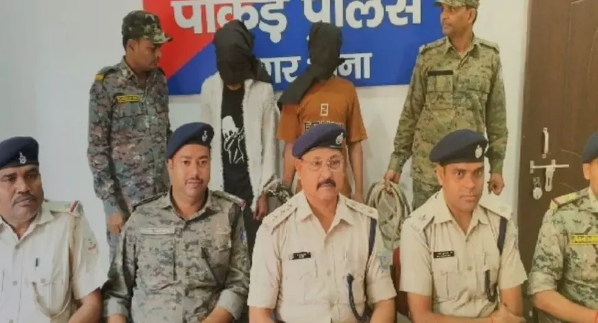 Pakur Raid: पाकुड़ में ट्रांसजेंडर और साथी के पास मिला देशी हथियार, पार्क के पास मचा हड़कंप, पुलिस ने खदेड़कर दबोचा