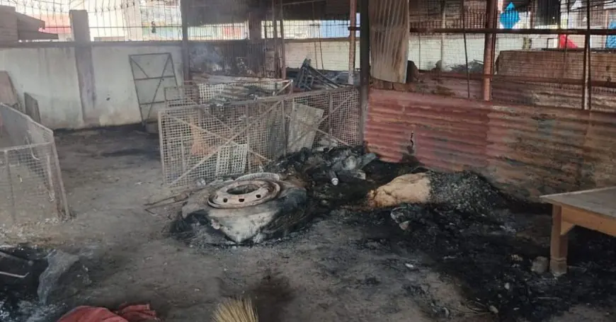 Gumla Fire :  गुमला के बाजारटांड़ में आधी रात को भीषण आग का तांडव, जिंदा जल गईं 150 मुर्गियां, कबाड़ी की दुकान जलकर हुई राख