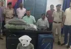 Hatia Ganja-Seizure:  हटिया रेलवे स्टेशन पर 8.45 लाख का गांजा जब्त, ऑपरेशन नारकोस के तहत आरपीएफ ने युवक को दबोचा, अंगुल से जुड़े हैं तार