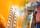 Jharkhand Weather:  झारखंड में करवट लेगा मौसम, अब बारिश नहीं बल्कि हीटवेव करेगी परेशान, 42 डिग्री तक पहुंचेगा पारा