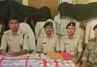 Seraikela Strike : सरायकेला में पुल निर्माण कंपनी से लेवी मांगने वाले 7 अपराधी गिरफ्तार, कट्टा-पिस्तौल और बाइक बरामद