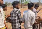 Latehar Wild Attack: महुआ चुनने गई दो महिलाओं पर भैंसों के झुंड ने किया हमला, मौके पर ही तोड़ा दम