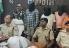 Giridih Drug Bust: माथडीह में छापेमारी, 10 किलो गांजा बरामद, 4 तस्कर गिरफ्तार
