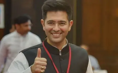 AAP Reshuffle: राज्यसभा में राघव चड्ढा की छुट्टी, अशोक मित्तल होंगे नए डिप्टी लीडर, आम आदमी पार्टी ने सचिवालय को पत्र लिखकर चौंकाया