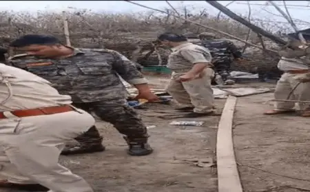 Ranchi Raid:  रांची के नामकुम में अवैध शराब के 7 अड्डों पर चला बुलडोजर, 9200 किलो जावा महुआ नष्ट, माफियाओं में मची खलबली