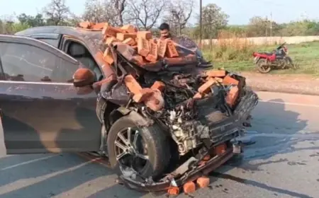 MGM Accident: एनएच-33 पर एक्सयूवी ने ईंट लदे वाहन को मारी जोरदार टक्कर, रिलायंस पेट्रोल पंप के पास भीषण सड़क हादसा