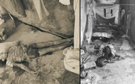 Potka Murder: राखा कॉपर कॉलोनी में 80 वर्षीय रतन बहादुर की धारदार हथियार से काटकर हत्या, पास में मिली घायल महिला