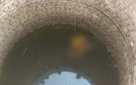 Koderma Mystery: कोडरमा में लापता महिला का शव कुएं से बरामद, महुआ चुनने निकली थी गीता, 3 दिन बाद तैरती मिली लाश