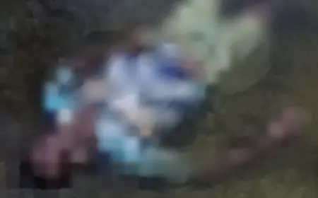 Rajnagar Death: राजनगर के रुतडीह में तालाब से मिला लापता बुजुर्ग का शव, 24 घंटे की खोजबीन के बाद झुंगलू महतो की मौत की पुष्टि