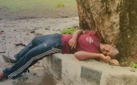 Dimna Death: डिमना लेक के पास पेड़ पर गिरी बिजली, नीचे बैठे युवक की झुलसकर मौके पर ही मौत