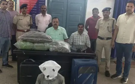 Hatia Ganja-Seizure:  हटिया रेलवे स्टेशन पर 8.45 लाख का गांजा जब्त, ऑपरेशन नारकोस के तहत आरपीएफ ने युवक को दबोचा, अंगुल से जुड़े हैं तार