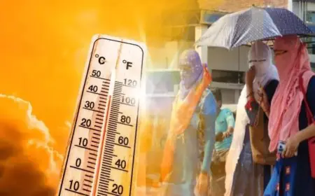 Jharkhand Weather:  झारखंड में करवट लेगा मौसम, अब बारिश नहीं बल्कि हीटवेव करेगी परेशान, 42 डिग्री तक पहुंचेगा पारा