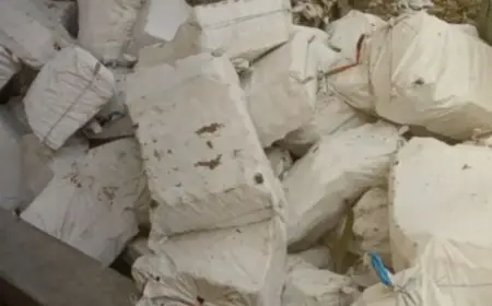 Excise Raid: जमशेदपुर में उत्पाद विभाग का बड़ा धमाका, भाई के घर चल रहा था मौत का खेल, 70 बोरा खाली बोतल और स्प्रिट बरामद