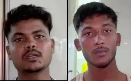 Dalma Dispute : दलमा चेकनाका पर खूनी संघर्ष, टेल्को के युवकों और वनकर्मियों के बीच भिड़ंत, एमजीएम अस्पताल में भर्ती हुए घायल