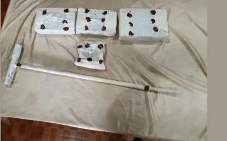 Barajamda Theft: बड़ाजामदा मोबाइल दुकान कांड का अंत, बोकना जंगल से दबोचे गए आरोपी, 6 स्मार्टफोन बरामद